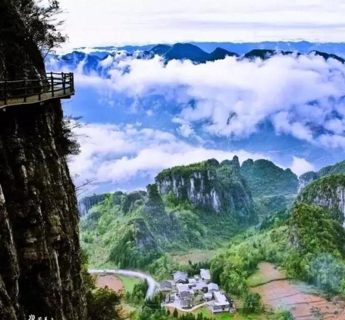 什么生肖能管得住龙知识星球平台,专业分享与传播知识