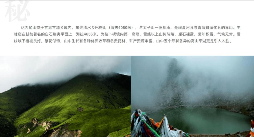 逃离棕榈树森林