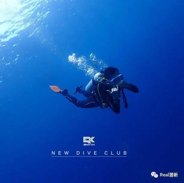 格局法和旺衰法，这个八字如何取舍？游戏画面